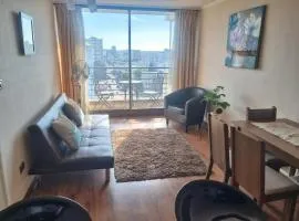 Departamento Central Ohiggins