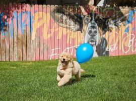 Sono Pet Clubs & Resorts VivaldiPark，位于洪川郡的酒店