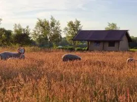 Luxury Safari Tent near Veluwe