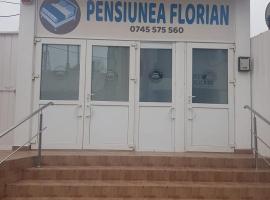Pensiunea Florian，位于图尔恰的酒店