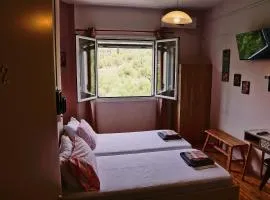 302 Sea And Sun Apartment's