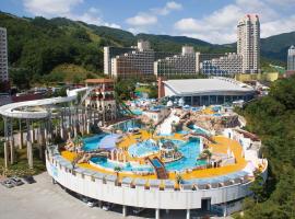 Phoenix Hotel Pyeongchang，位于平昌的酒店