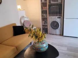 Le Rocher appartement Cotignac
