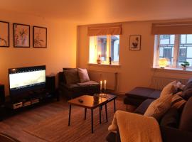 Visit wonderful Odense center - 3 bedroom appartment，位于欧登塞的宠物友好酒店