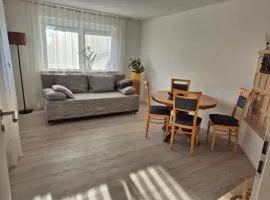 Sehr beliebt! Ferienhaus zur Donau