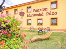 Penzion Moravská oáza，位于瓦尔季采的酒店