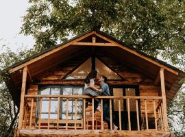 Loft Treehouse，位于Peşteana的酒店