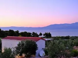 Olive Garden Home with Hot Tub