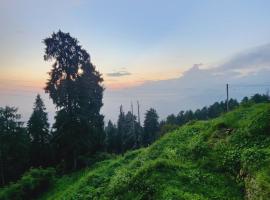 Greenvalley View Kalatop-forest View，位于Lāhri的酒店
