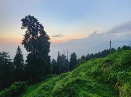Greenvalley View Kalatop-forest View