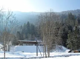 Holiday Home Alpenchalet Silbertal by Interhome