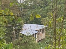 The Tropical Tiny House
