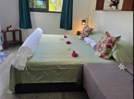 Tematavainui lodge，位于Tikehau Airport的酒店