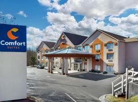 Comfort Suites Northside Hospital Gwinnett，位于罗维莎的酒店