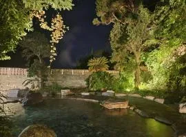 Hotel Cetus Royal