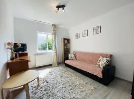 Central Apartment