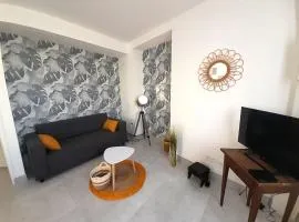 Élégant appartement Vatan centre