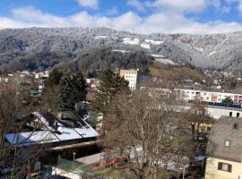 Apartman Liezen，位于利岑的酒店