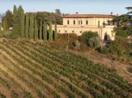 Apartment in villa Il Castellaccio