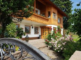 Ferienwohnung Schloßberg 1，位于派廷格的酒店