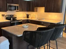 New Luxury Downtown 1 Bedroom Condo 201
