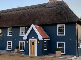 Guinness Arms，位于Icklingham的酒店