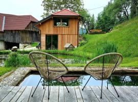 Studio Apartma2 pri Adamu，位于Mislinja的酒店