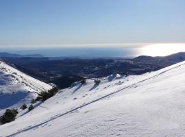 Grand Studio Plein sud vue sur pistes，位于格雷奥利埃的酒店