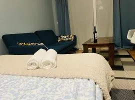 Cozy Blue Apartment