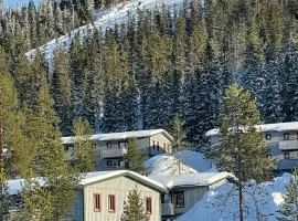 SÄLEN, Ski in-Ski out, Lägenhet 8F Grå Byn