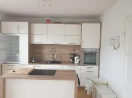 Ferienhaus 3119 in Tossens