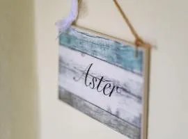 Aster