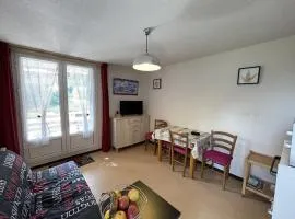 Coquet studio avec terrasse au Lioran, animaux admis - FR-1-787-119