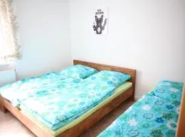 百慕大公寓