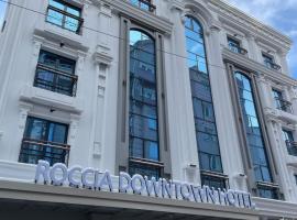 Roccia DownTown Otel，位于凡城的酒店