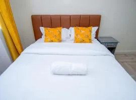Blink comfort suite- Rhino