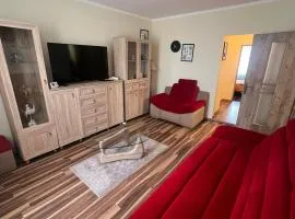 Lucky Home Timisoara 3