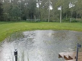 Metsaääre Saunamaja