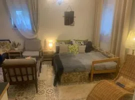 Samostatné FAMILY STUDIO v suteréne s terasou a záhradou