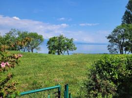 Appartement les pieds dans le Lac Léman，位于Anthy的酒店