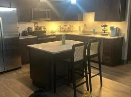 Downtown Condo 1 Bedroom View of City 301
