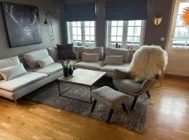 Leilighet i 1 etg Røldal