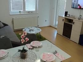 Apartman Rubin20，位于多博伊的酒店