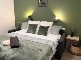 Studio Appart'Hôtel Gare TGV - 317