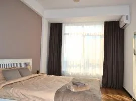 Socoleni City Flat