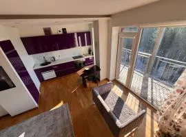 Pine Tops Retreat apartment