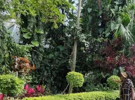Botanic Hideaway Home, 5km from Mwanza airport