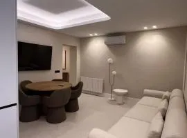 Deluxe apartment in Retiro