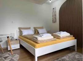 Studio Apartman Sedrenik