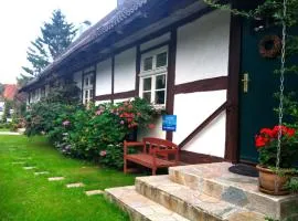 Wohnung in Ulrichshusen
